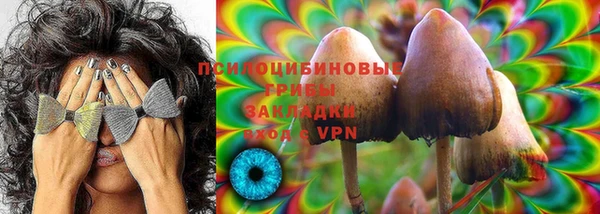эйфоретик Абинск