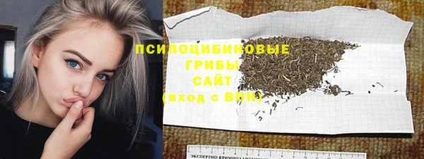 молекула духа Алексин
